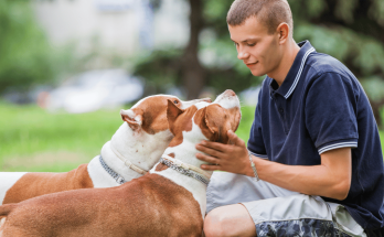 Pets Often Make the Best Friends