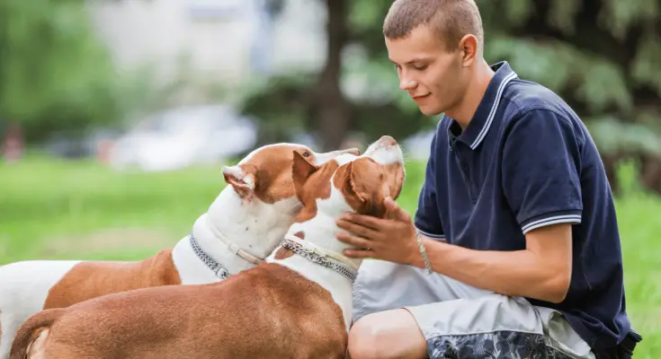 Pets Often Make the Best Friends